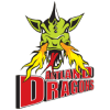 Artland Dragons
