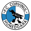 Corvinul Hunedoara