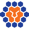 Queensland Lions