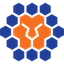 Queensland Lions