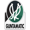 SV Ried