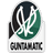 SV Ried