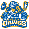 Roanoke Rail Yard Dawgs