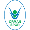 OGM Ormanspor