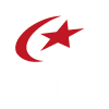 Saracens