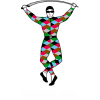 Harlequins
