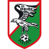 Sokół Kleczew