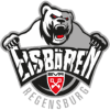 Eisbären Regensburg