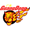 Guangdong Southern Tigers