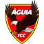 Águia de Cumaru