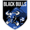 Black Bulls