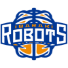 Ibaraki Robots
