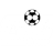 Fakirerpool YMC
