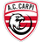 Carpi