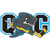 Quad City Storm