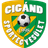 Cigánd