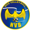 Nice Volley-Ball