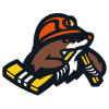 HC Shakhtyor Soligorsk