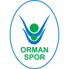 OGM Ormanspor Women