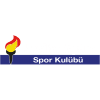 Nesibe Aydın GSK