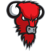 Bisons Loimaa