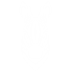 Zebre