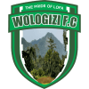 Wologizi