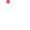 Derthona Basket